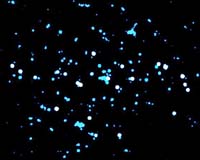 Integral Solves Mystery At Galaxy's Heart