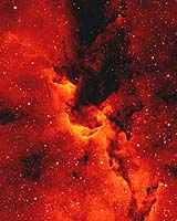 New Star Survey Sheds Light On Milky Way's Evolution