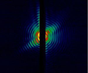 X-ray snapshots: from big black holes to tiny viruses