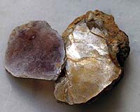 New Hypothesis For Origin Of Life Proposed