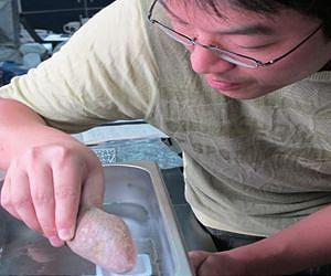 New discovery of ancient diet shatters conventional ideas of how agriculture emerged