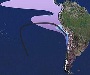 Unexpected interaction between ocean currents and bacteria