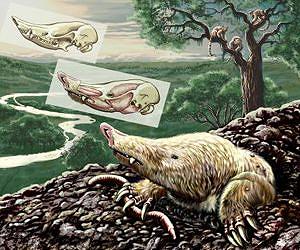 Grave robber fossil solves a paleontological enigma