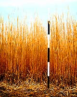 Initiative Will Put Illinois At Forefront Of Farm Bioenergy Production