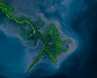 Engineering a better future for the Mississippi Delta