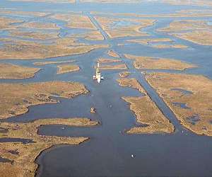 A Mississippi River diversion helped build Louisiana wetlands