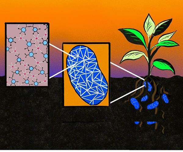 Microbes could help reduce the need for chemical fertilizers