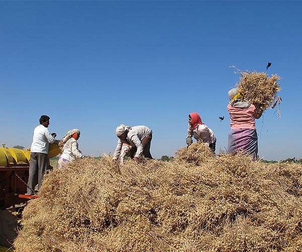 Processing waste biomass to reduce airborne emissions
