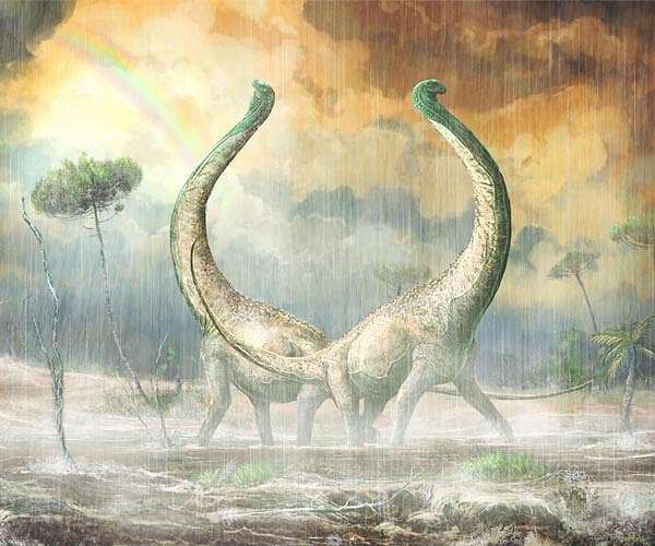 Statistical analysis reveals differences between dinosaur sexes