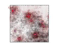 The mystery of the initial mass function solved