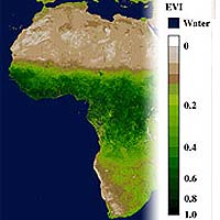 NASA Unveils Spectacular Suite of New Global Data Products from MODIS