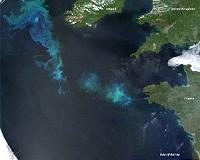 Solving corrosive ocean mystery reveals future climate