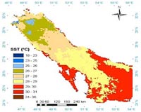 Climate Change In Kuwait Bay