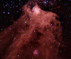 Disruption of Molecular Clouds by Star Clusters