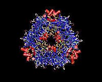 Collaboration To Unravel Food Structure