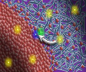 Researchers Reveal How Solvent Mixtures Affect Organic Solar Cell Structure
