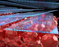 A more efficient, lightweight and low-cost organic solar cell