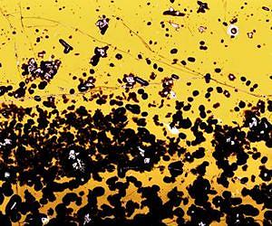 Scientists uncover relationship between lavas erupting on sea floor and deep-carbon cycle