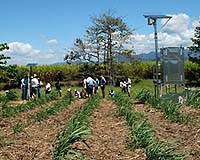 World must reform agriculture now or face dire crisis: report