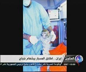 Iran to send second monkey into space
