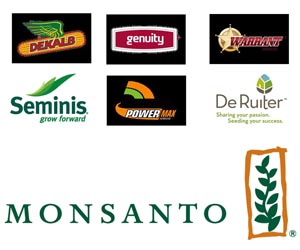 Monsanto earnings jump on corn seed, pesticide sales