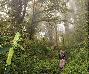 UN mourns slain Costa Rica environmentalist