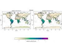 Satellites map photosynthesis at high resolution