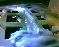 China's moon cotton experiment ends in freezing lunar night