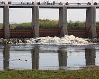 Colorado River Delta greener after engineered pulse of water