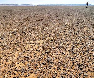 Algiers conference to tackle Africa desertification