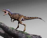 New species of tiny tyrannosaur foreshadows rise of T. rex