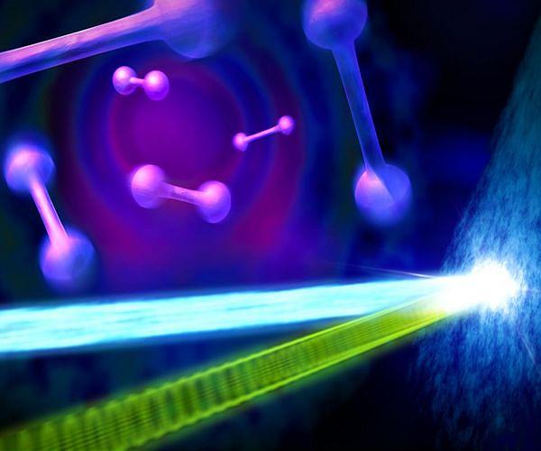 New Reactions May Unlock Long-Lasting Superheavy Nuclei with Distinct Properties