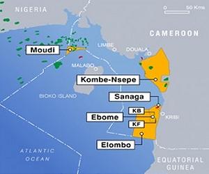 Cameroon grapples with oil security crisis