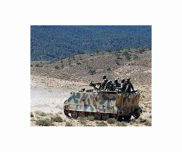 4 Tunisian soldiers killed in landmine blast: ministry
