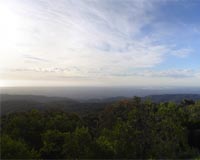 World-Class Environment Vision To Bring Back The Species