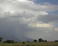 Four dead after unprecedented Australia 'thunderstorm asthma'