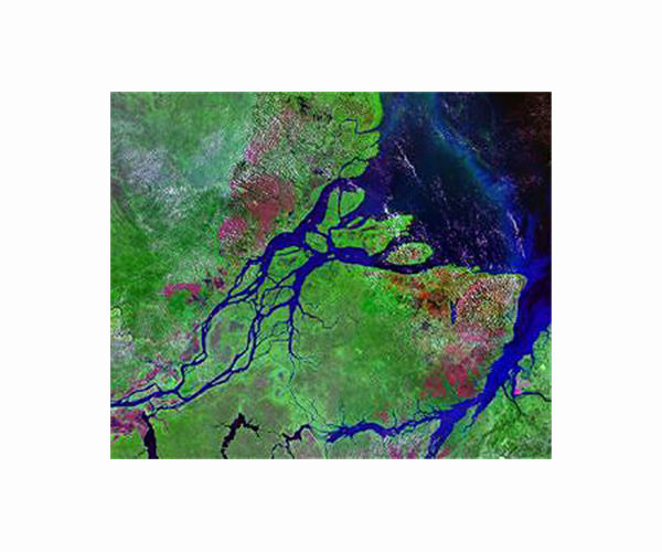 Brazilian NGOs ask court to halt drilling off mouth of Amazon