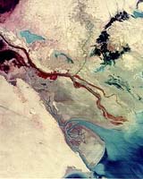 Southern Iraq Marshes Show Progress Toward Recovery