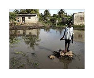 Mass evacuations under way in flood-hit Mozambique
