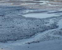Borneo Mud Outflow Contains Toxic Chemicals