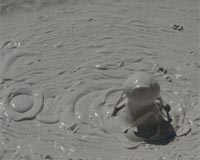 Mud Pots Signal Possible Extension Of San Andreas Fault