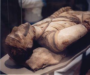 Mummies tell history of a modern plague
