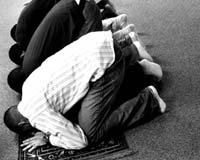 Muslim Countries Urged To Reach For The Stars
