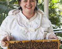 Ability to identify 'killer' bees a boon to the honeybee industry