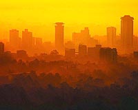 Elderly Kenyan mauled by lion in Nairobi rush hour