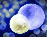 MIT team creates ultracold molecules