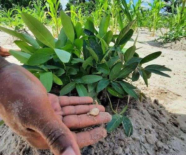Around the globe, climate adaptation lacks coordination