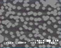 Self-Assembled Nanocells Function As Non-Volatile Memory