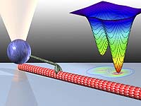Optical Trap Provides New Insights Into Motor Molecules