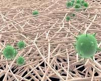 Viruses: You've heard the bad - here's the good